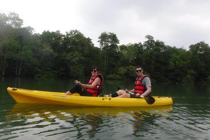 Pulau Ubin Mangrove Kayaking: Beginner-Friendly Paddling from Singapore photo 5