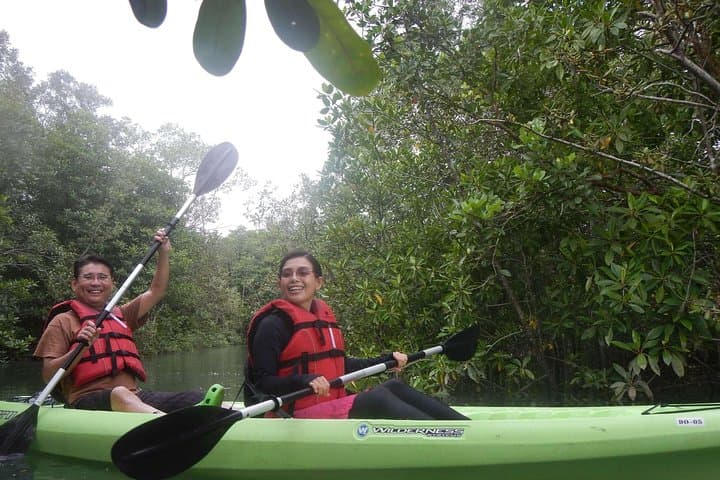 Pulau Ubin Mangrove Kayaking: Beginner-Friendly Paddling from Singapore photo 6