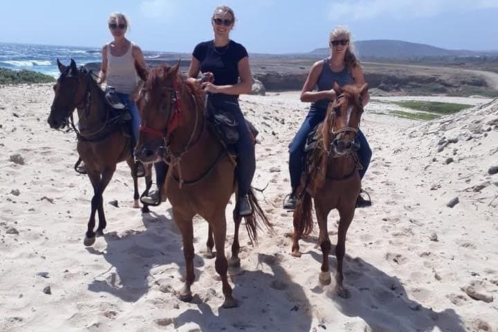Aruba Horseback Riding to Urirama Cove — Countryside Ride & Secluded Beach photo 6