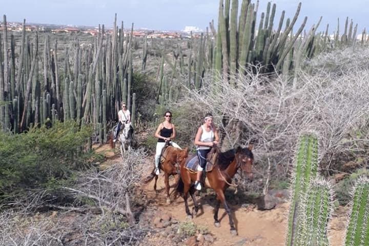 Aruba Horseback Riding to Urirama Cove — Countryside Ride & Secluded Beach photo 2