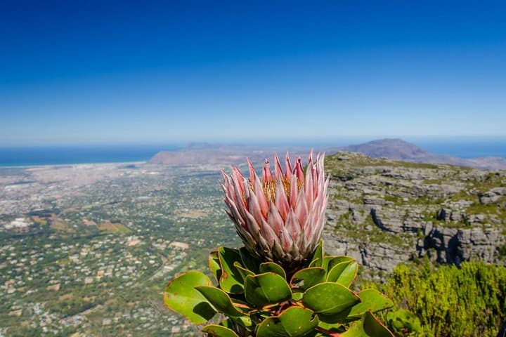 Skeleton Gorge Hike to Table Mountain Summit — Kirstenbosch Route photo 3