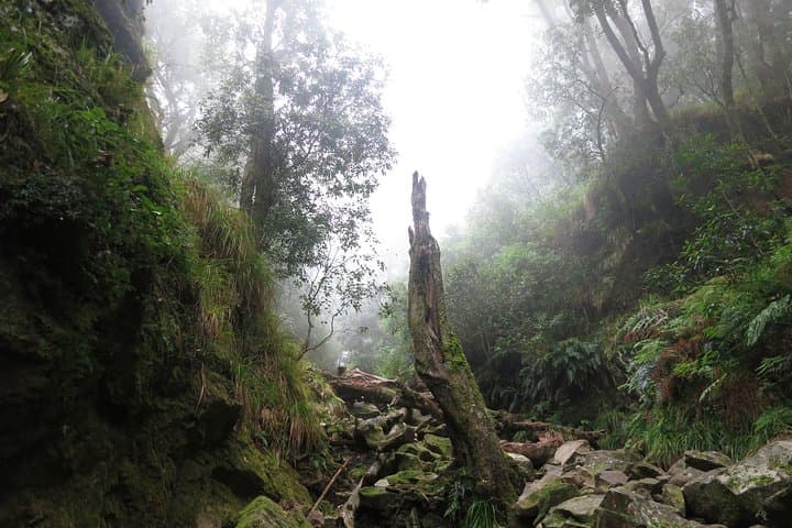 Skeleton Gorge Hike to Table Mountain Summit — Kirstenbosch Route photo 4