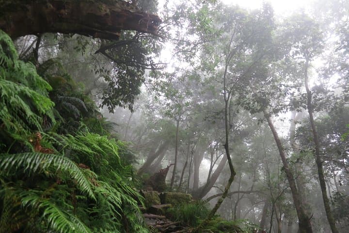 Skeleton Gorge Hike to Table Mountain Summit — Kirstenbosch Route photo 5