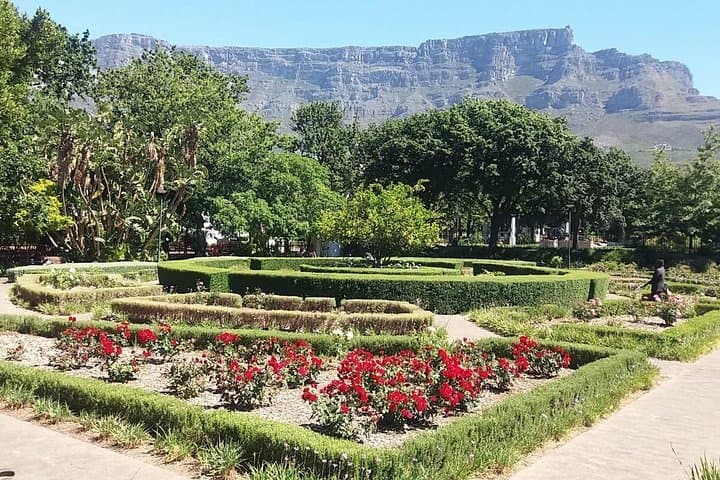 Cape Town City Tour: Table Mountain Cable Car & Camps Bay Beach Half-Day photo 5
