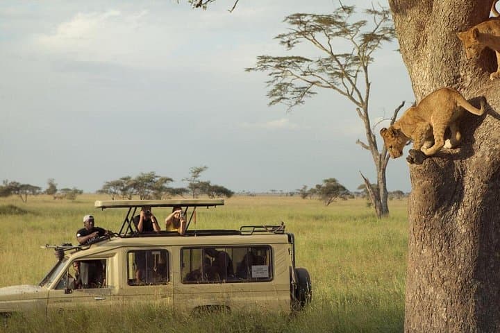 6-Day Luxury Safari Through Tarangire, Serengeti & Ngorongoro photo 1