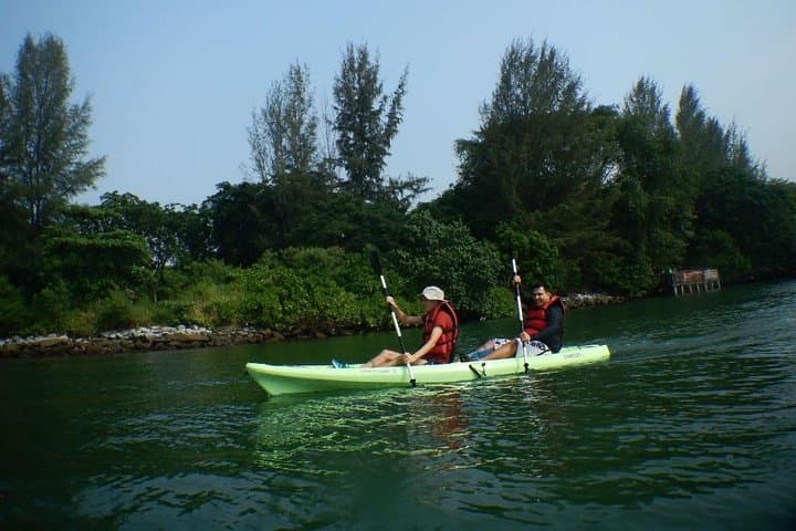 Round Ketam Kayaking Adventure: Pulau Ubin Coastal Paddle & Mangrove Wildlife photo 6