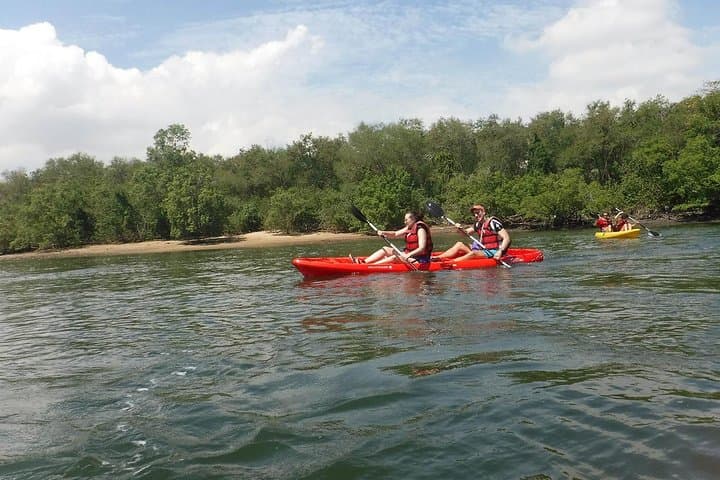 Round Ketam Kayaking Adventure: Pulau Ubin Coastal Paddle & Mangrove Wildlife photo 2