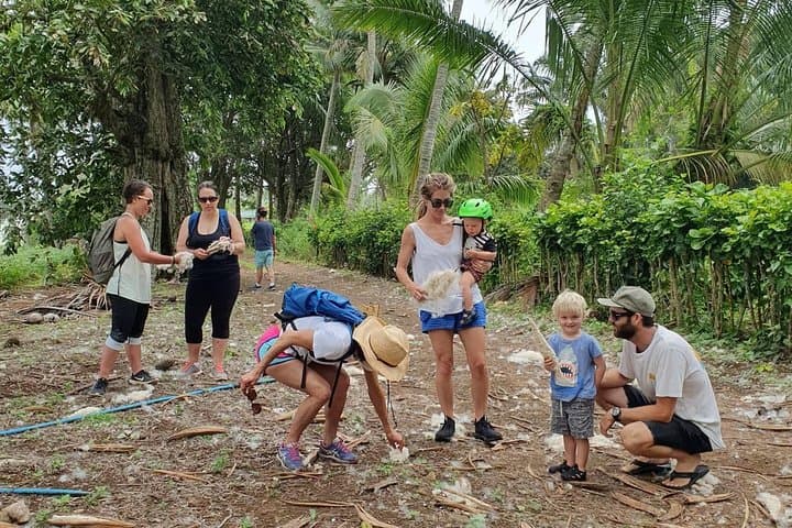 Cycle Rarotonga’s Back Road: Village Ride, Mountain Views & Lunch photo 3