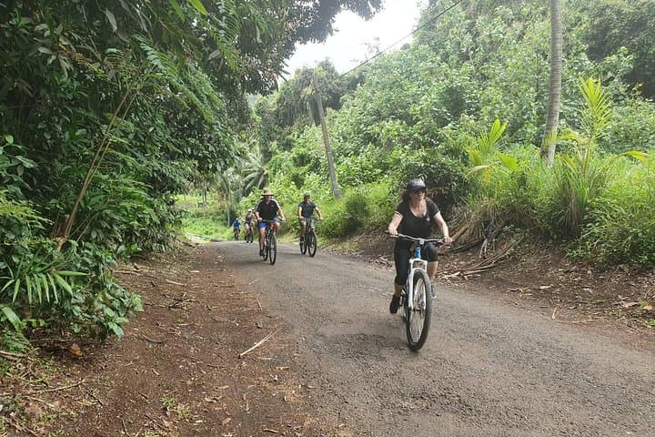Cycle Rarotonga’s Back Road: Village Ride, Mountain Views & Lunch photo 4
