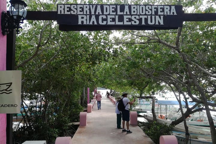 Celestún Biosphere Reserve Boat Tour from Mérida — Flamingos, Mangroves & Beach photo 3