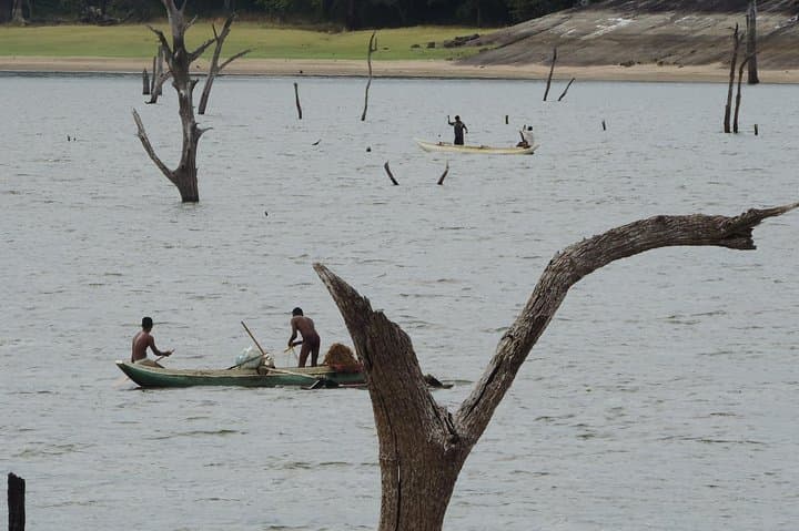Sigiriya to Colombo: 5-Day Cultural Highlands and Rafting Adventure