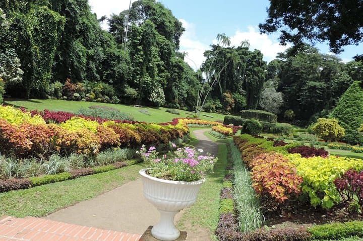 Sigiriya to Colombo: 5-Day Cultural Highlands and Rafting Adventure photo 2