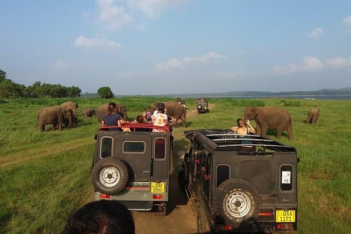 Sigiriya to Colombo: 5-Day Cultural Highlands and Rafting Adventure photo 3
