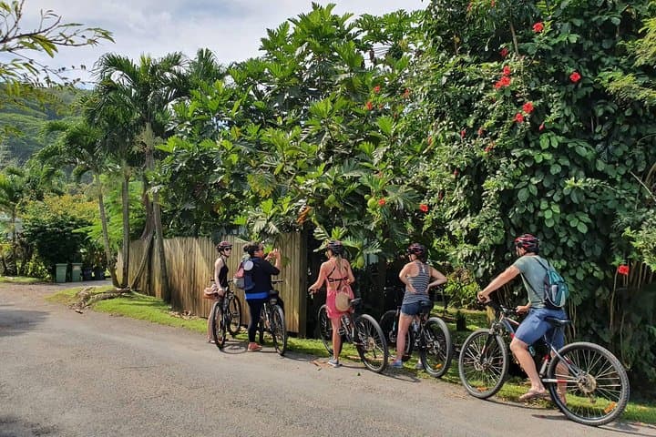 Cycle Rarotonga’s Back Road: Village Ride, Mountain Views & Lunch photo 2