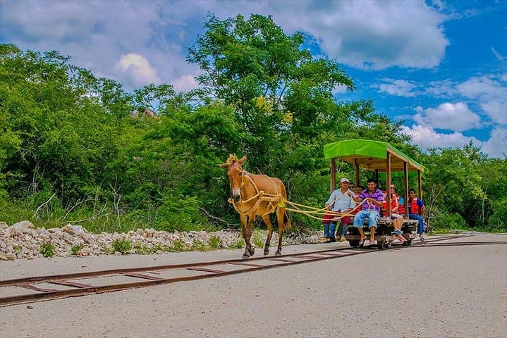 Three Cenotes of Cuzamá: Day Trip from Merida to Cascabel, Chaksikin & Xoch photo 3