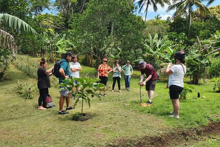 Explore Rarotonga Guided Bike Tour: Back Roads, Beach Lunch & Swim photo 3