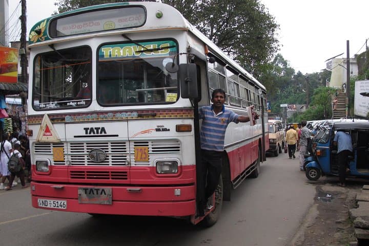 10-Day Sri Lanka Highlights: Sigiriya, Tea Country, Yala Safari & Mirissa Whale Watching photo 5