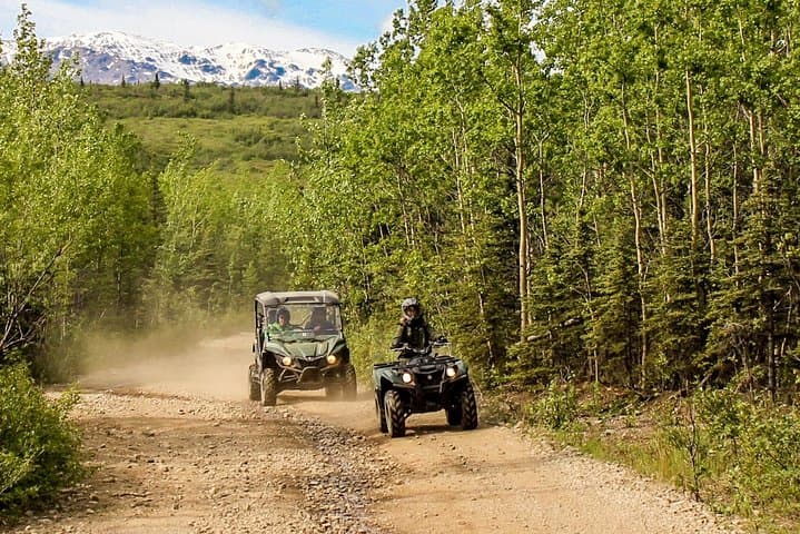 Denali Wilderness ATV Adventure — 2.5-Hour Off-Road Ride Near Denali National Park