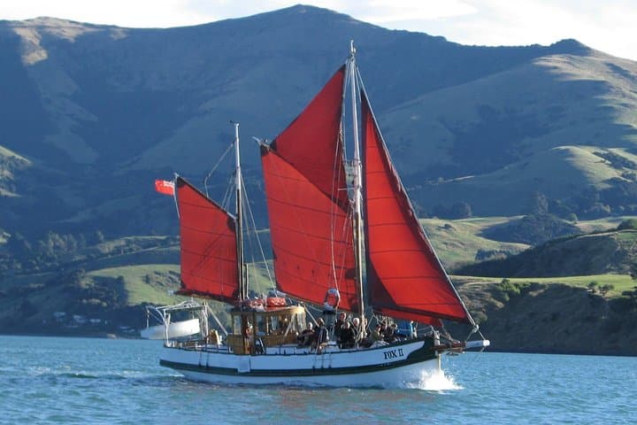 Historic Fox II Sailing in Akaroa Harbour — Hector's Dolphins & Coastal Wildlife Tour
