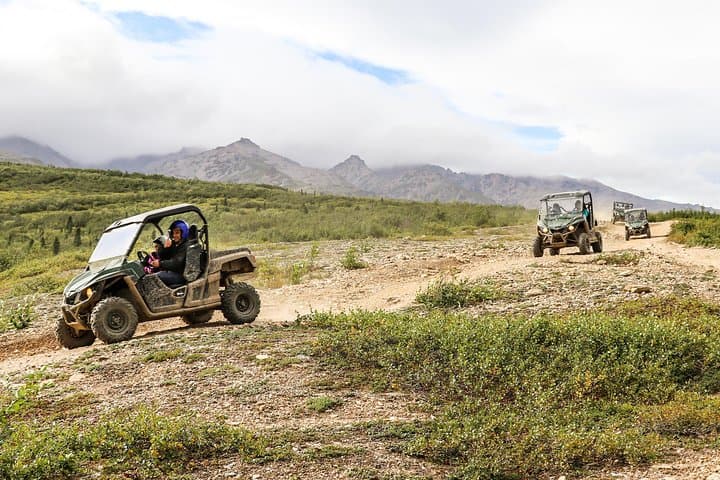 Denali Wilderness ATV Adventure — 2.5-Hour Off-Road Ride Near Denali National Park photo 5
