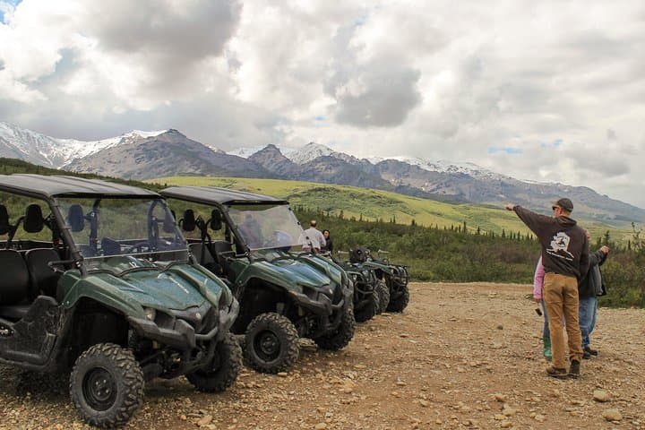 Denali Wilderness ATV Adventure — 2.5-Hour Off-Road Ride Near Denali National Park photo 6