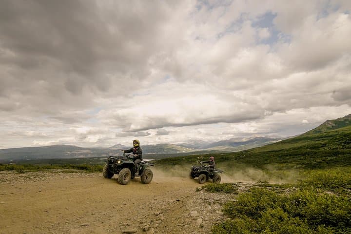 Explore Denali’s Untamed Wilderness on an ATV Trailblazer Tour photo 3