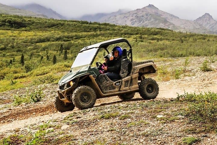Explore Denali’s Untamed Wilderness on an ATV Trailblazer Tour photo 6