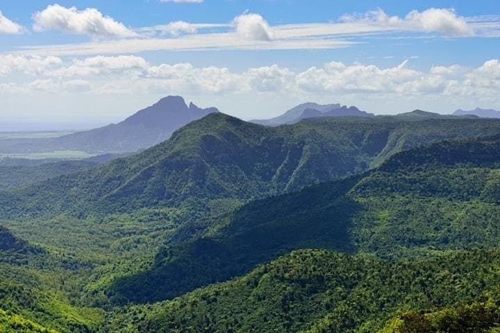 Swim with Wild Dolphins and Explore Mauritius Volcanic Wonders — Full-Day West Coast Tour photo 6