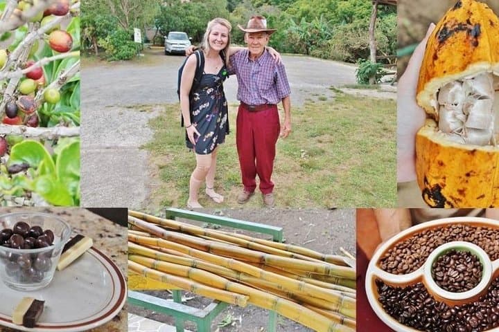 Monteverde Cloud Forest Coffee, Chocolate & Sugar Cane Farm Tour Guide photo 4