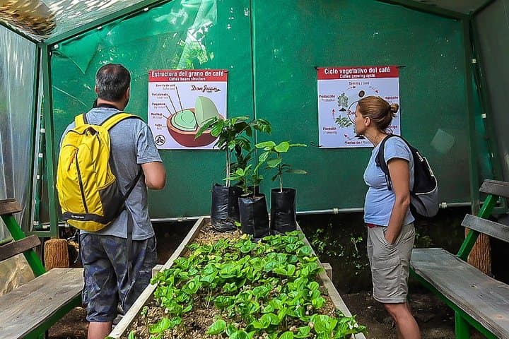 Monteverde Cloud Forest Coffee, Chocolate & Sugar Cane Farm Tour Guide photo 6