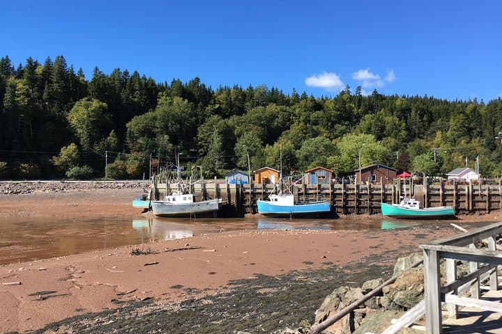 Shore Tours of Southern New Brunswick: 6-Hour Fundy Highlights from Saint John