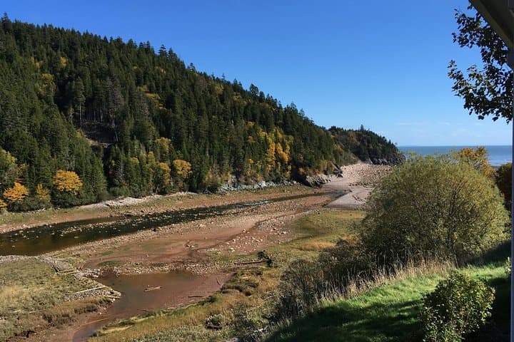 Shore Tours of Southern New Brunswick: 6-Hour Fundy Highlights from Saint John photo 2