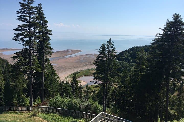 Shore Tours of Southern New Brunswick: 6-Hour Fundy Highlights from Saint John photo 3