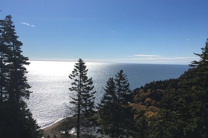 Shore Tours of Southern New Brunswick: 6-Hour Fundy Highlights from Saint John photo 4