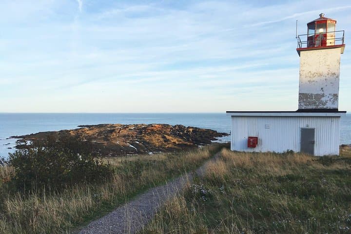 Shore Tours of Southern New Brunswick: 6-Hour Fundy Highlights from Saint John photo 5