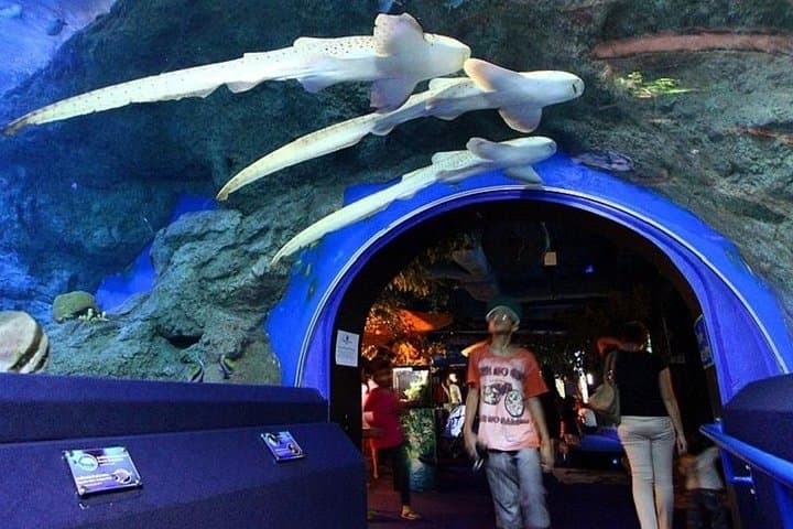 Half-Day Pattaya Floating Market & Underwater World Combo — Practical Day Tour Guide photo 3