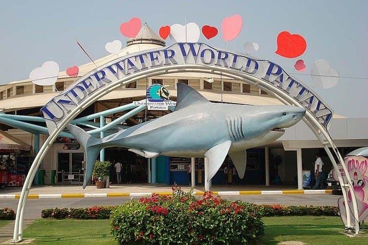 Half-Day Pattaya Floating Market & Underwater World Combo — Practical Day Tour Guide photo 5