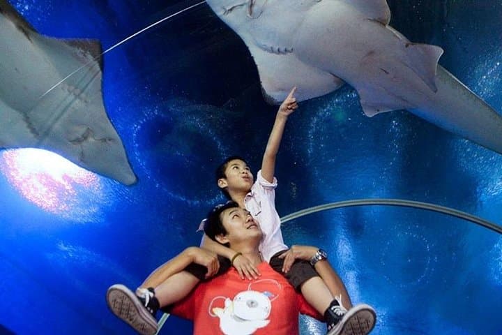 Half-Day Pattaya Floating Market & Underwater World Combo — Practical Day Tour Guide photo 6