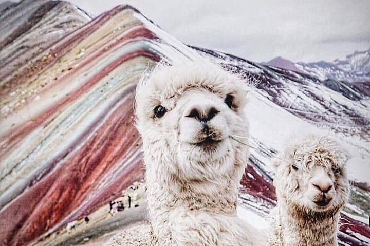 Winikunka (Rainbow Mountain) Full-Day Hike from Cusco photo 6