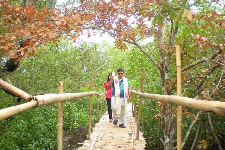 Discover Ibajay: Mangroves, Nawidwid Falls & Mt. Balinsasayaw Day Trek photo 3