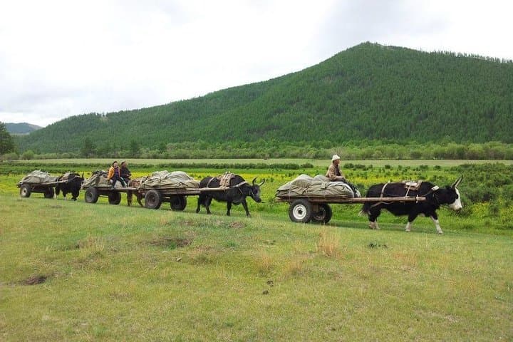 12-Day Northern Mongolia: Danshig Festival, Khuvsgul Lake & Nomadic Highlands Expedition