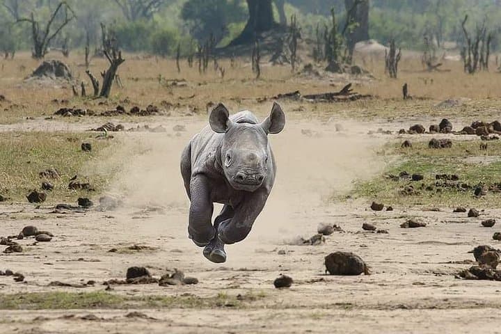 3-Day Kruger & Panorama Safari from Hazyview — Big Five Game Drives and Panorama Route photo 3