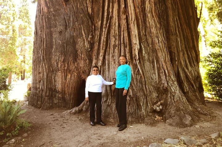 3-Day Private Redwood National Park Tour: Hidden Groves, Wildlife & Coastal Views photo 5