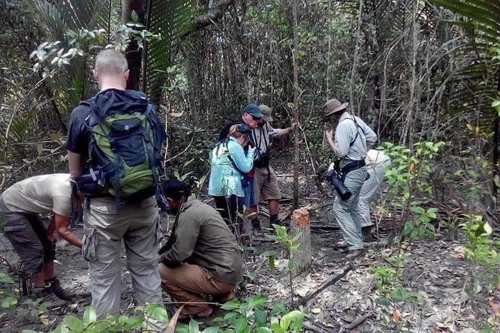 Sundarbans Explorer: 3-Day Cruise & Wildlife Safari from Khulna photo 5