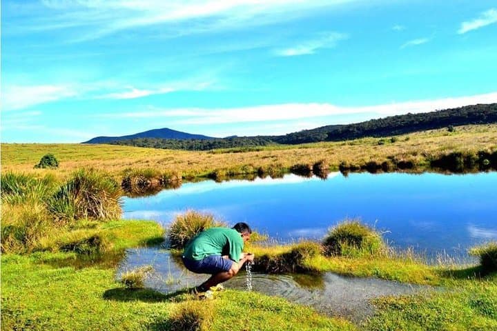 Horton Plains Nuwara Eliya Tour: World's End, Baker's Falls & Cloud-Forest Walk photo 3