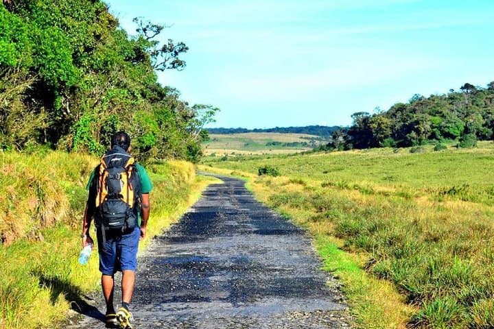 Horton Plains Nuwara Eliya Tour: World's End, Baker's Falls & Cloud-Forest Walk photo 5