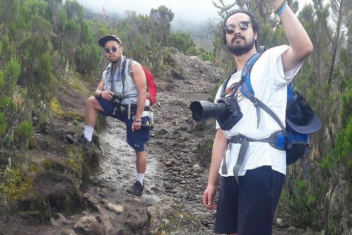 6-Day Marangu Route Kilimanjaro Trek: Summit Uhuru Peak from Marangu Gate photo 3