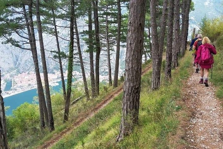 Vrmac Ridge Hike in the Bay of Kotor — Private 7‑Hour Scenic Trail photo 3