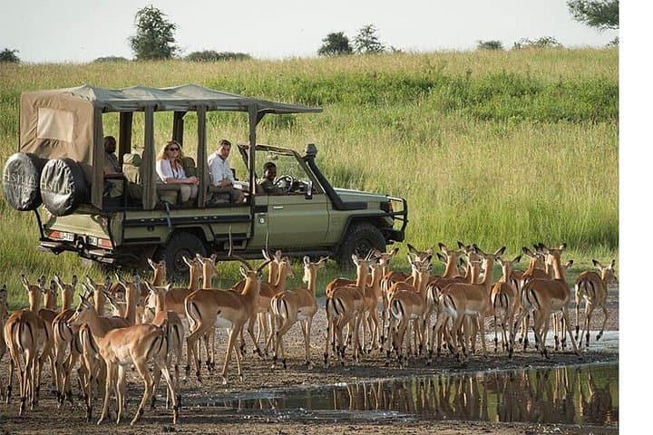 9-Day Safari to Selous, Ruaha & Mikumi — Boat Safaris, Walking Safaris & Game Drives photo 2