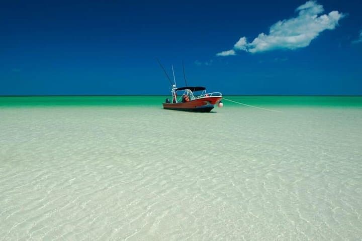 Holbox by Boat: Two Islands & Yalahau Cenote — Day Trip from Riviera Maya photo 6